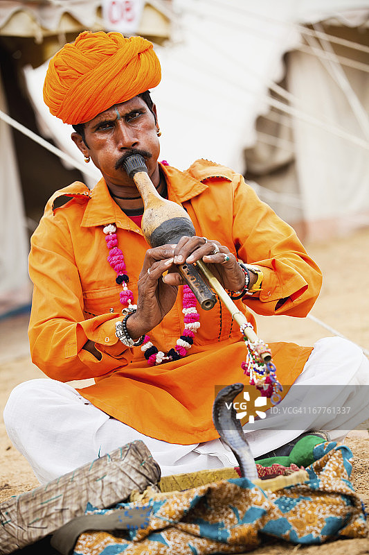 印度的耍蛇人图片素材