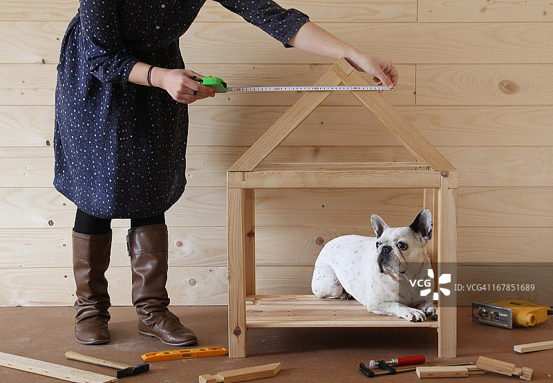 年轻女人为狗建造木屋图片素材