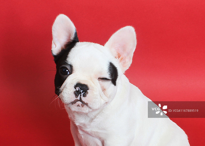 圣诞节眨眼表情图片素材