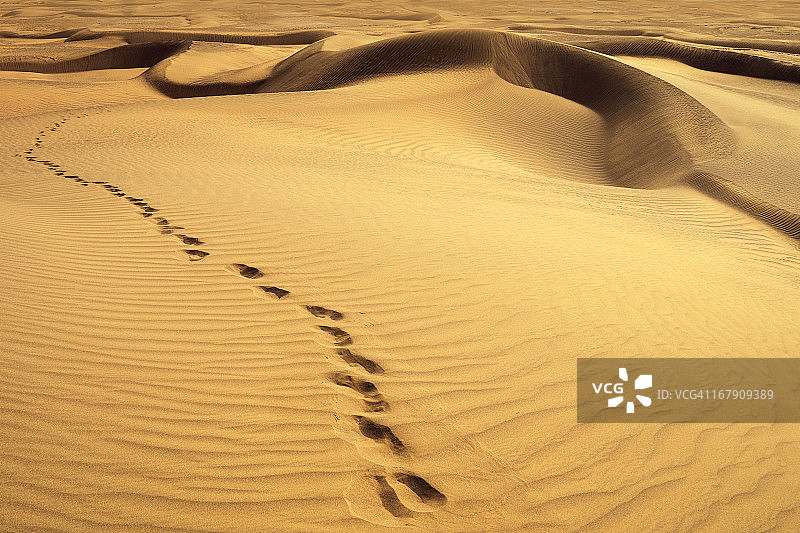 沙漠中的脚印图片素材