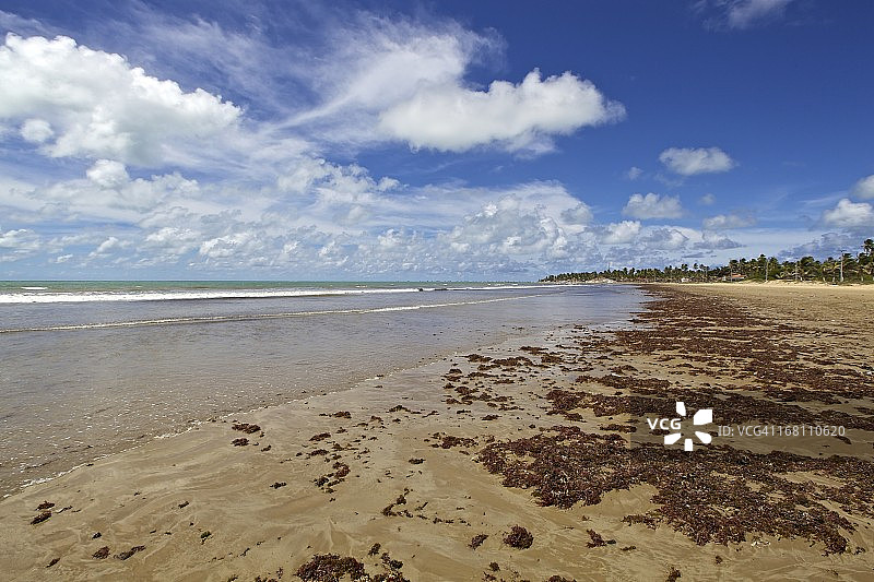阿拉戈斯州蓬塔尔杜佩巴海滩图片素材