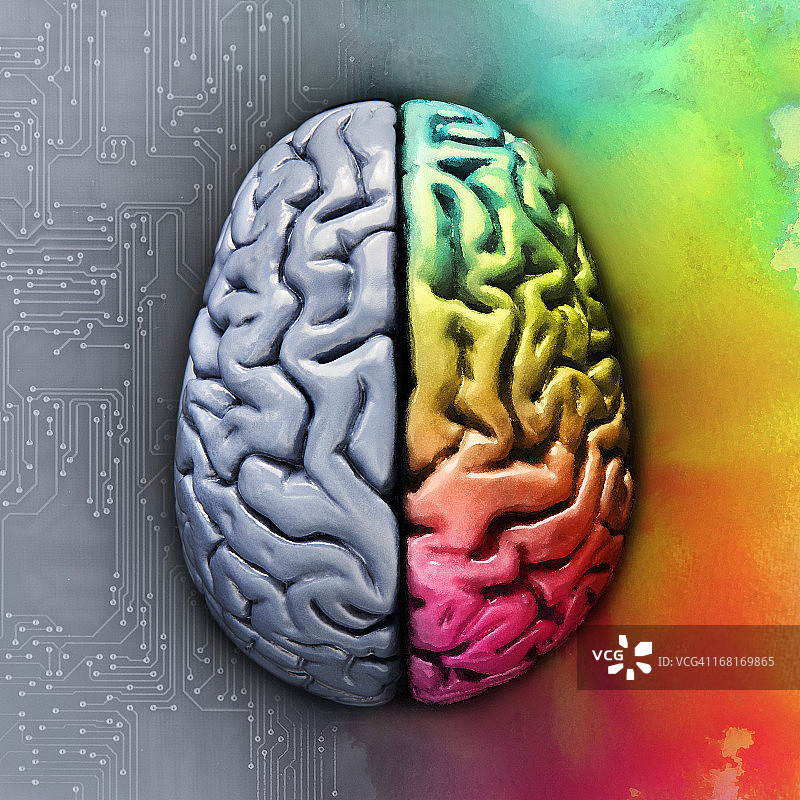 显示不同功能的左右脑图片素材