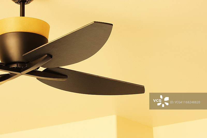 吊扇叶片灯具装饰图片素材