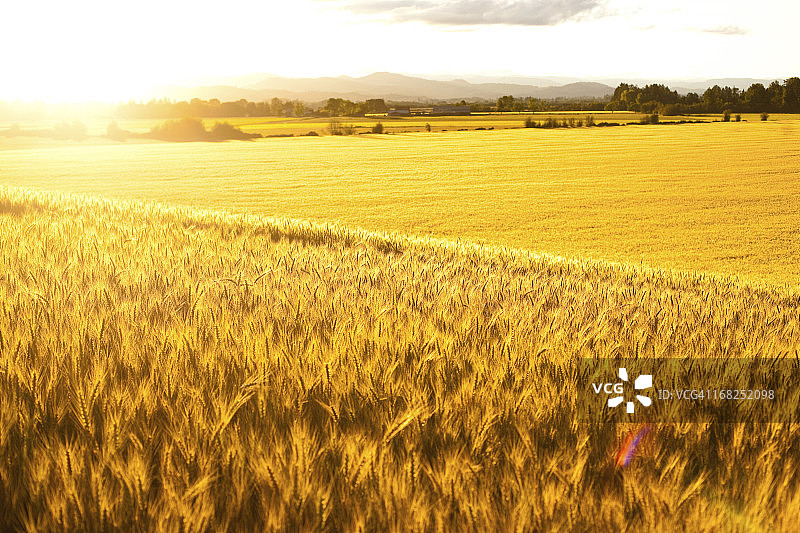 发光草原图片素材