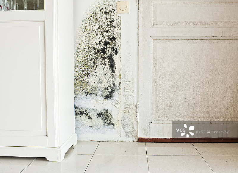 墙壁上的霉菌滋生和潮湿的木门图片素材