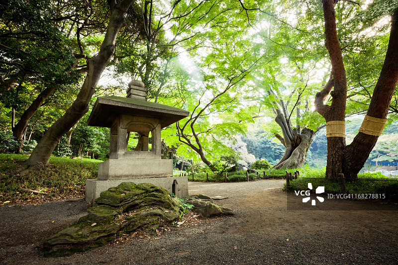 东京日本禅宗花园图片素材