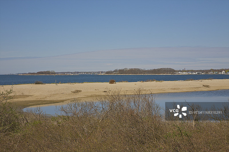 蓝色水域和白色沙滩下的裸露灌木图片素材