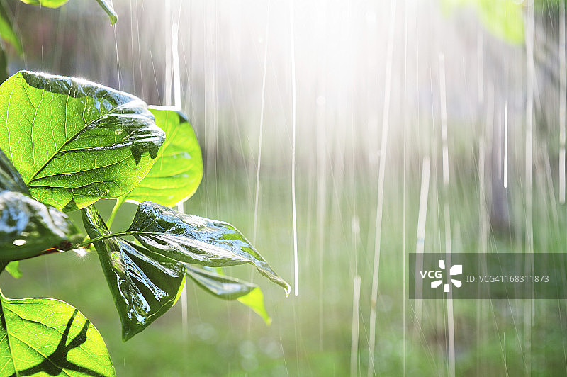 日落时分倾盆大雨图片素材