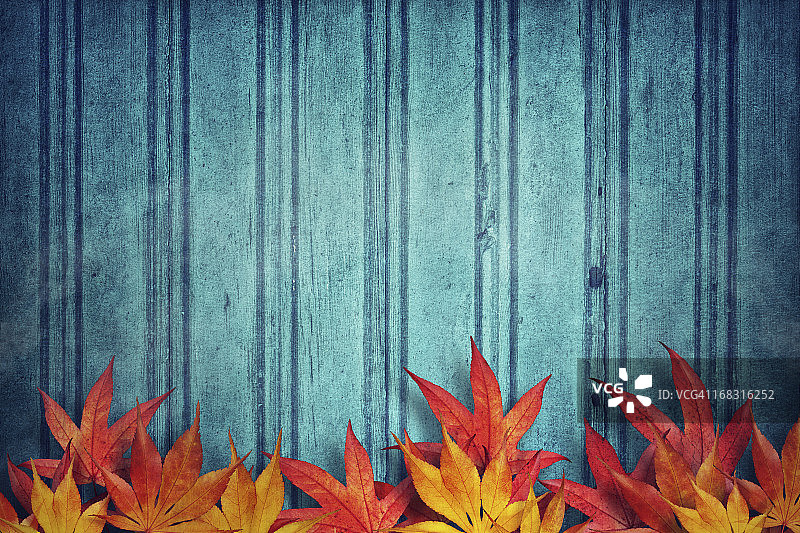 秋天背景图片素材