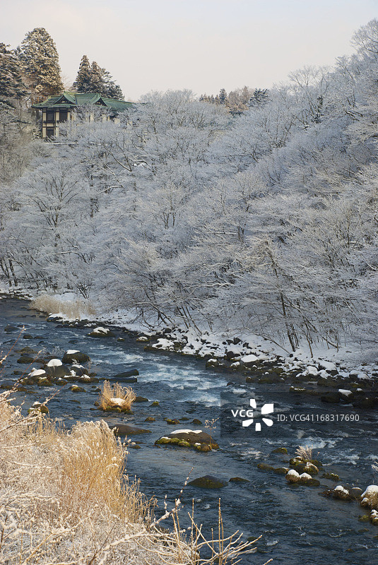 大谷河畔覆盖着白雪的树木图片素材