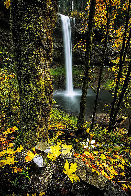 南瀑布秋叶图片素材