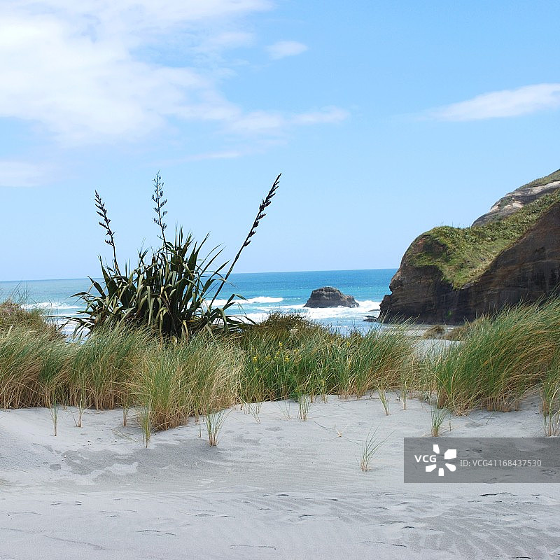 新西兰黄金湾西海岸的瓦拉里基海滩图片素材