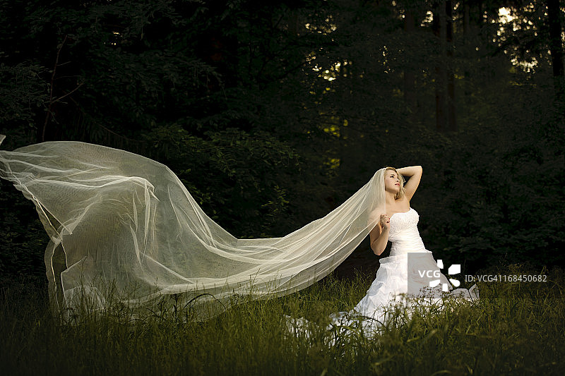 森林中的新娘图片素材
