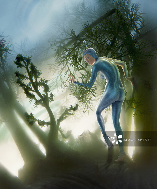 茴香外星人森林图片素材