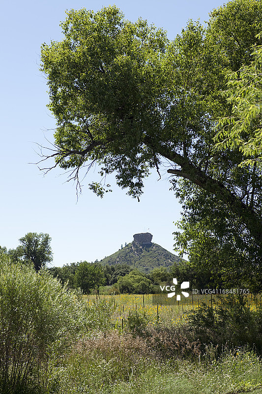 科罗拉多州城堡岩向日葵田竖版相框图片素材