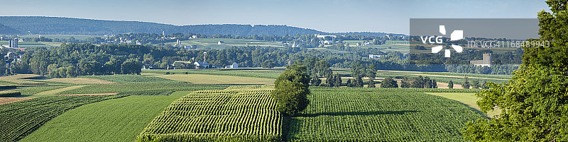 兰卡斯特县农场作物全景图片素材