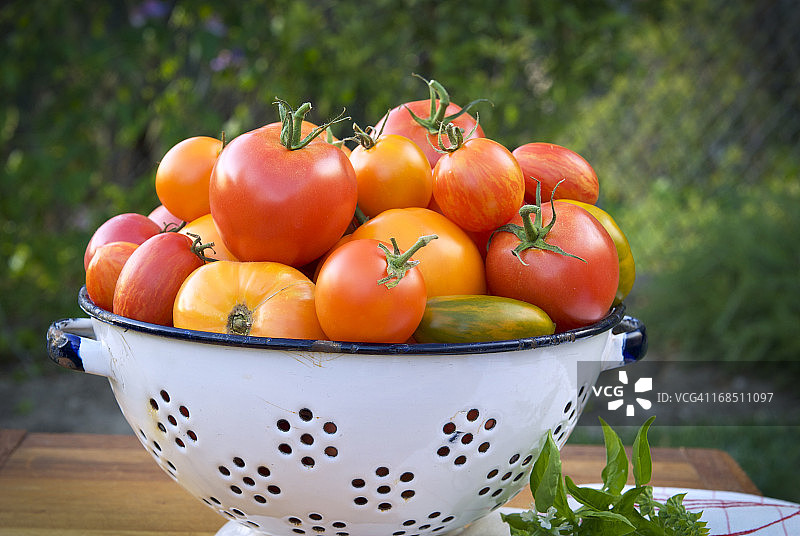什锦有机番茄和蔬菜园沥水篮图片素材