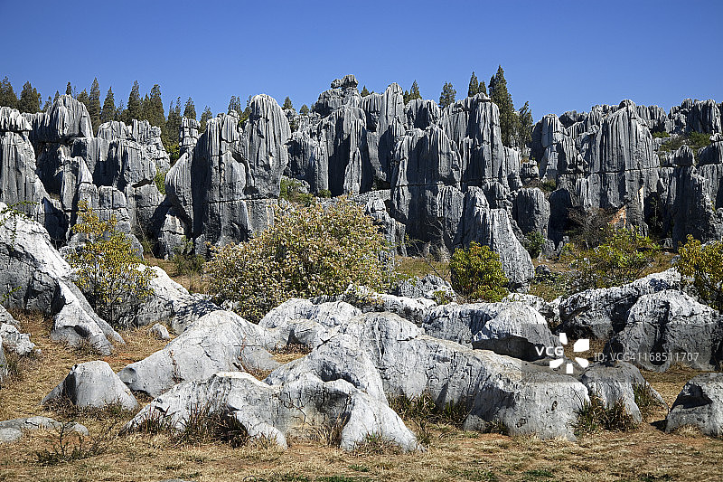 中国昆明石林图片素材