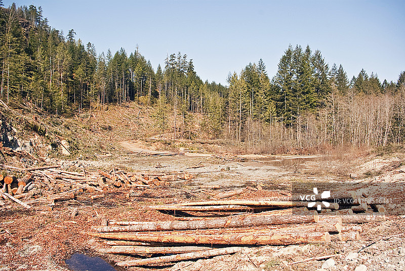 伐木业图片素材