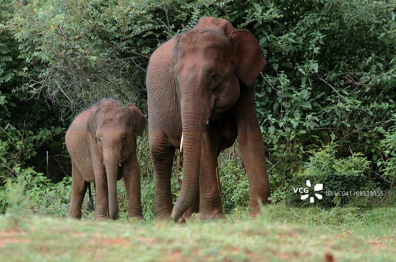 齐心协力图片素材