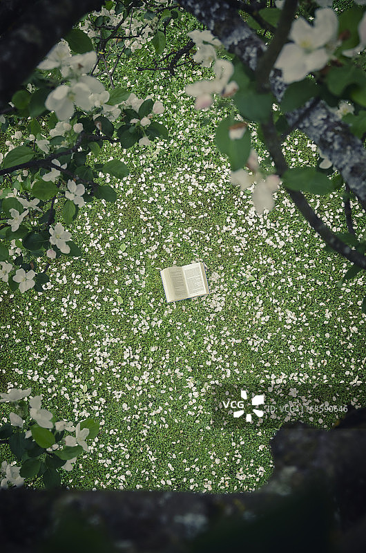 苹果花中的书本图片素材