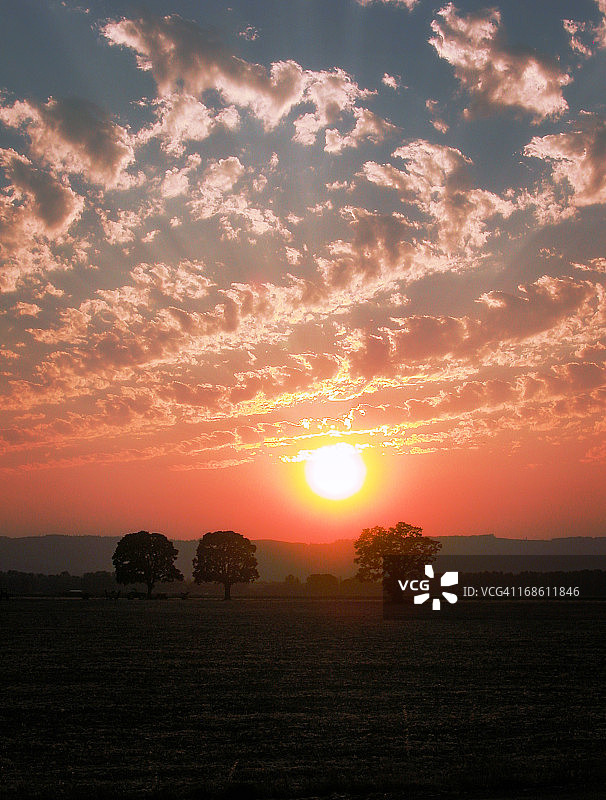 树木田野上的红色日落图片素材