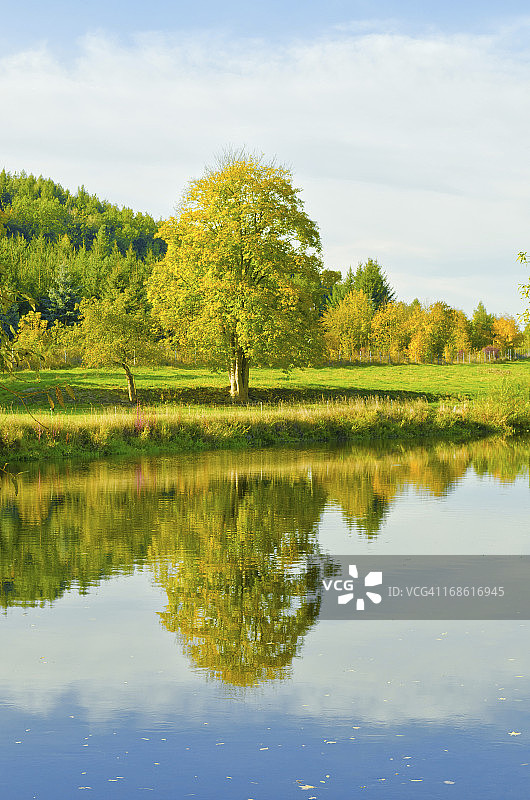 水中倒影树木图片素材