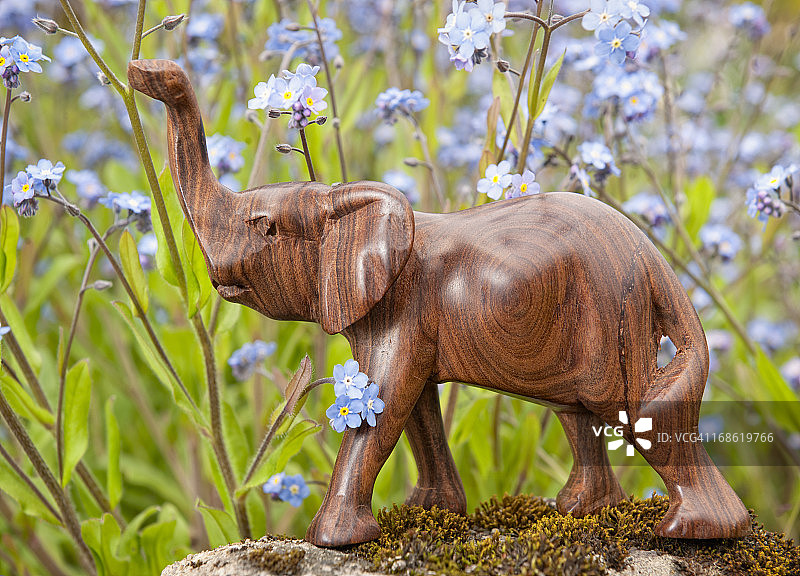 勿忘我小象图片素材