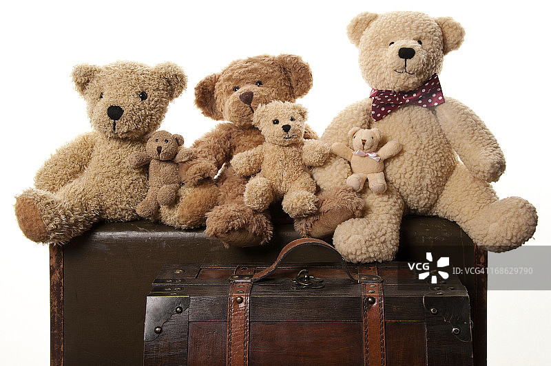 泰迪熊家族团聚图片素材