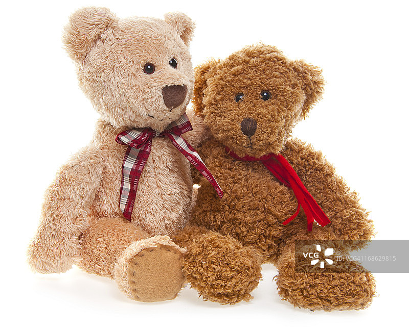 白色背景下的泰迪熊朋友图片素材
