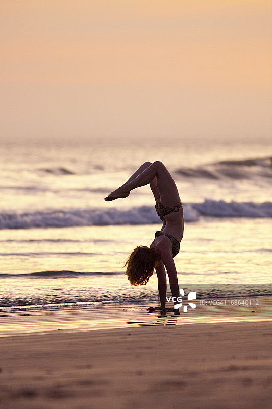 蝎子姿势图片素材