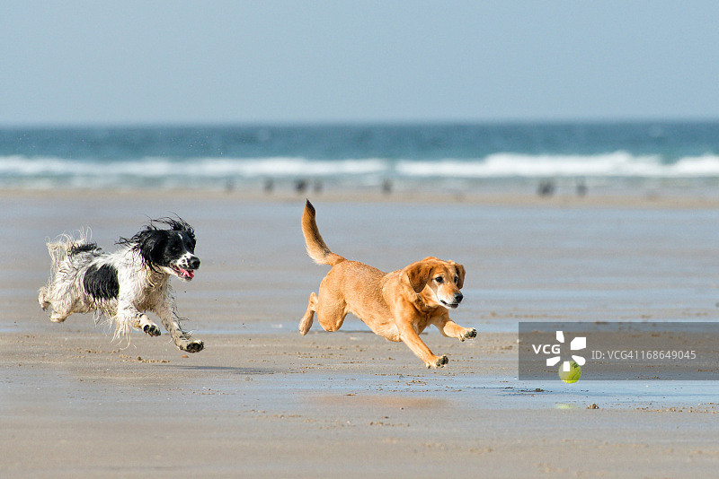 阳光下的乐趣图片素材