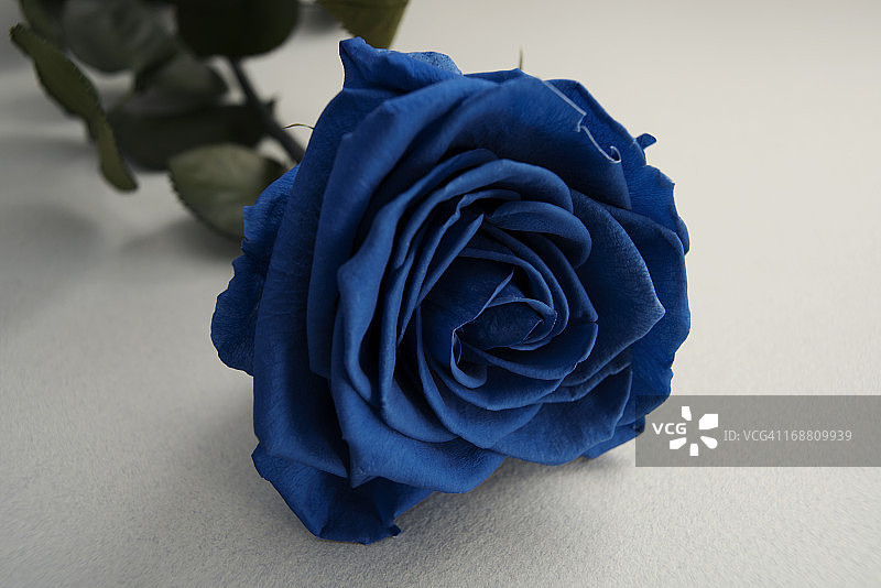 当爱是忧郁的图片素材