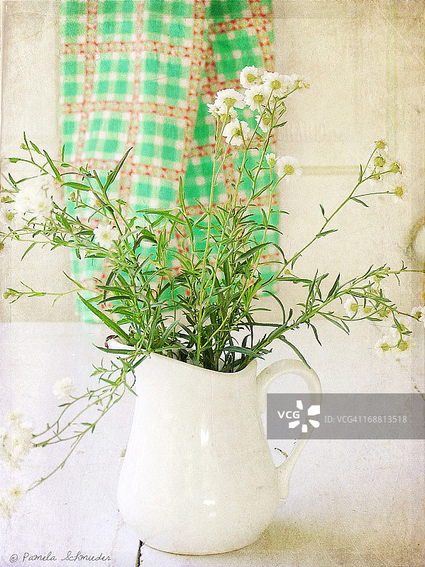 星期天早上图片素材