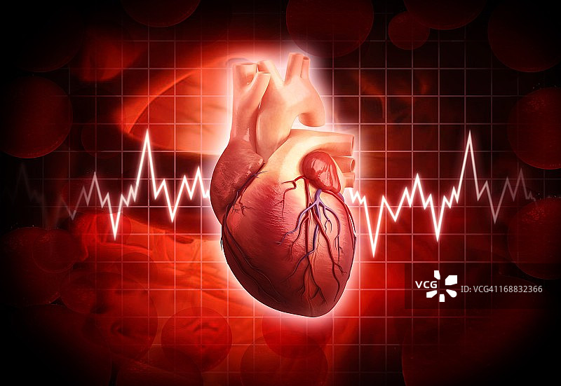 人类的心,艺术品图片素材