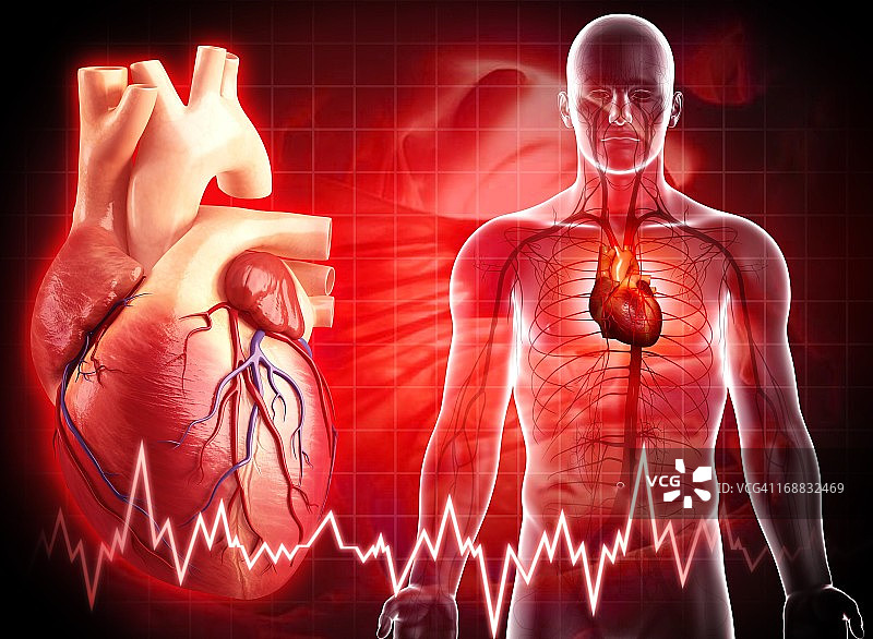 人类的心,艺术品图片素材