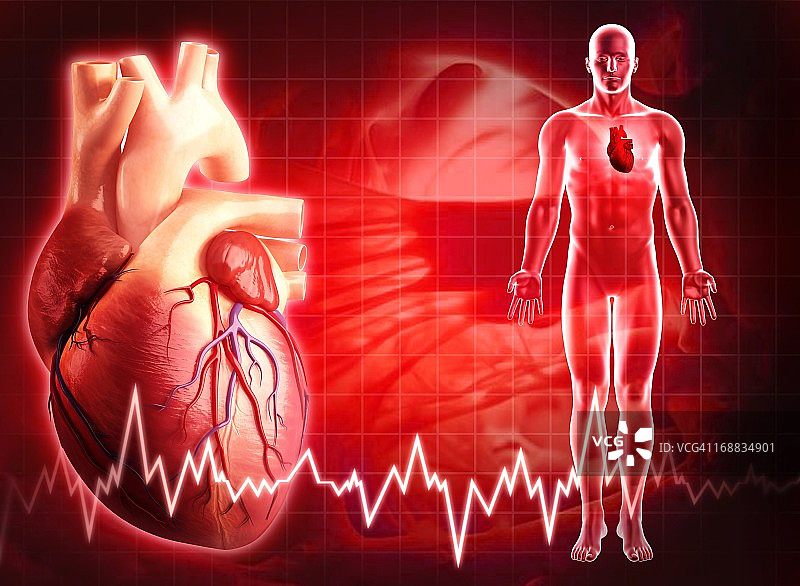 人类的心,艺术品图片素材