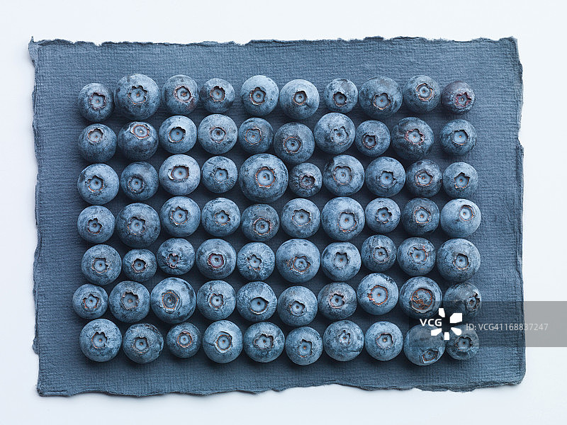 蓝莓和黑莓特写图片素材