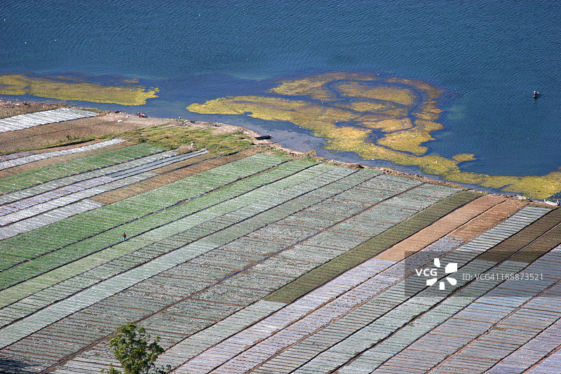 湖畔农业图片素材