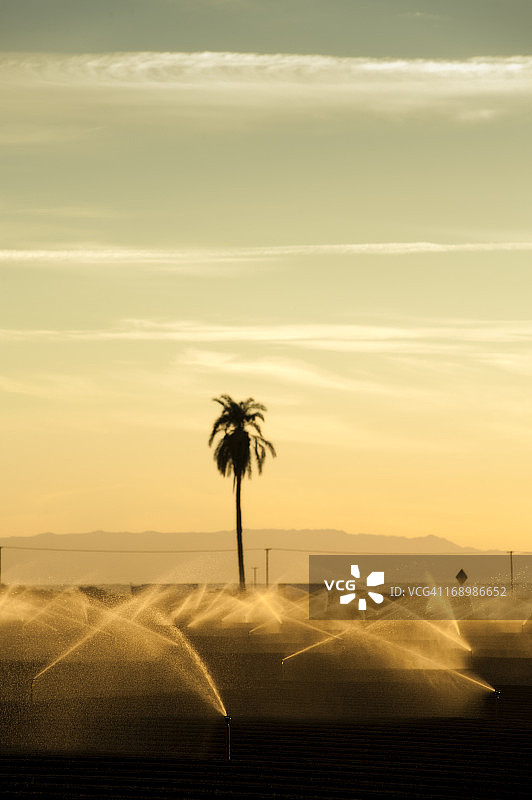 南加利福尼亚州的灌溉图片素材