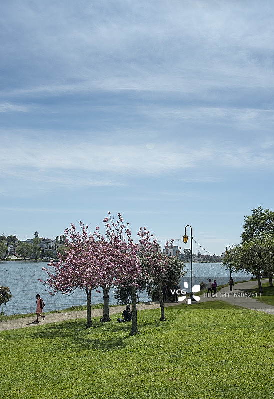 美丽湖图片素材