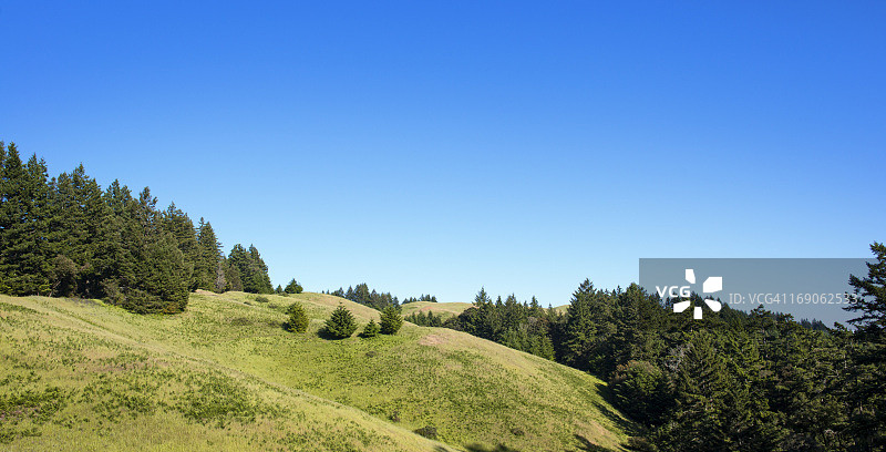 塔玛佩利斯山上的连绵山丘和树木图片素材