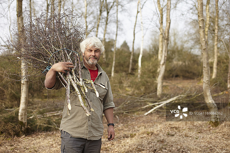 伐木工人拿着一捆银桦木图片素材