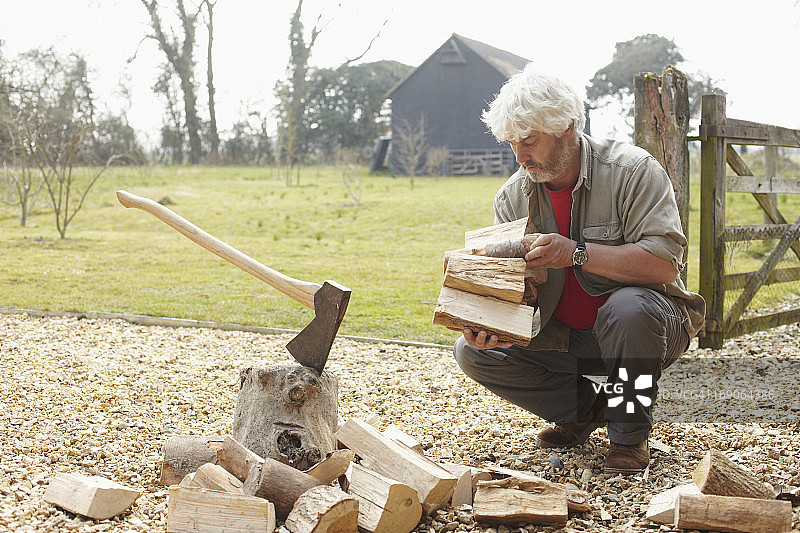伐木工人收集劈好的木头图片素材
