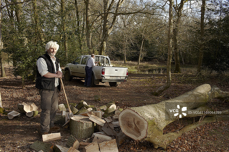 伐木工人劈橡木并装载卡车图片素材