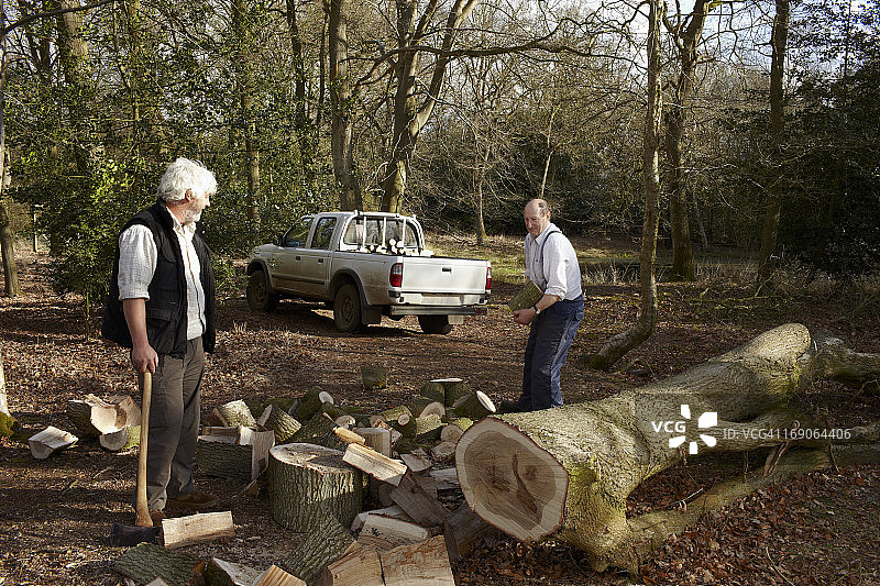 伐木工人劈橡木并装载卡车图片素材
