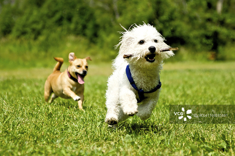 享受生活图片素材