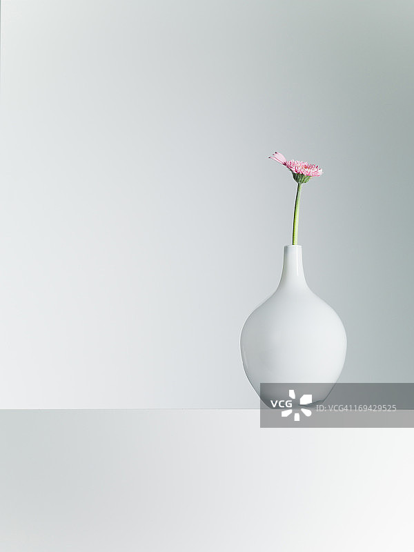 桌子上花瓶里的雏菊图片素材