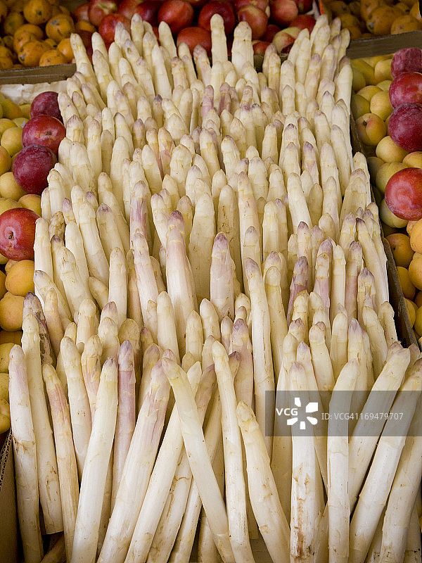 白色芦笋图片素材