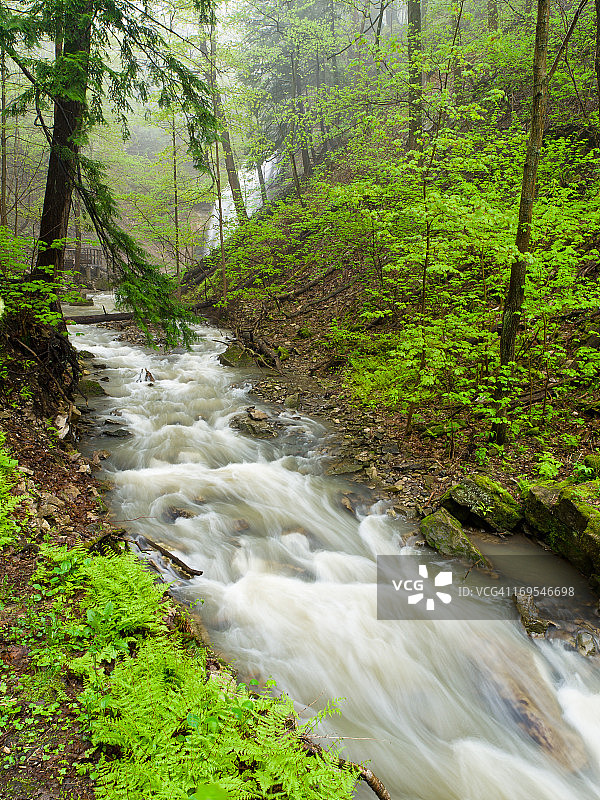 蒂芙尼溪和瀑布图片素材